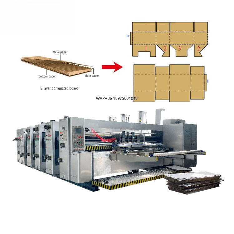 Automatic 4 Color Cartoning Pr - Die Cutting Machine review and price